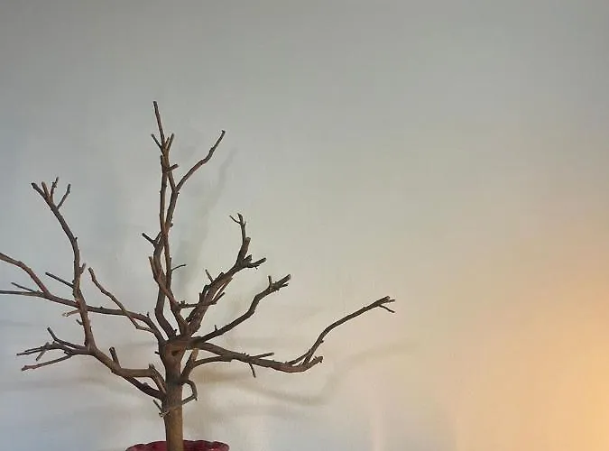 Prickly Pear Corner Apartman *