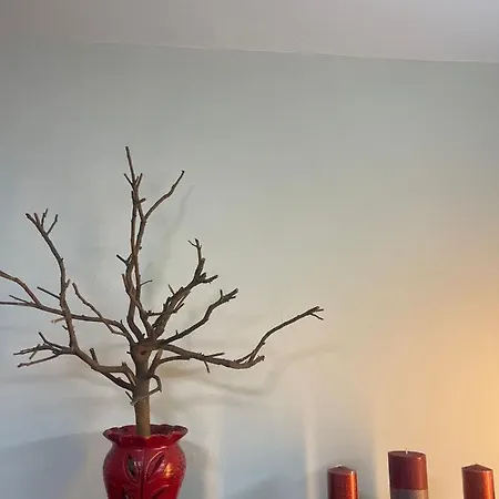 Prickly Pear Corner Lejlighed *